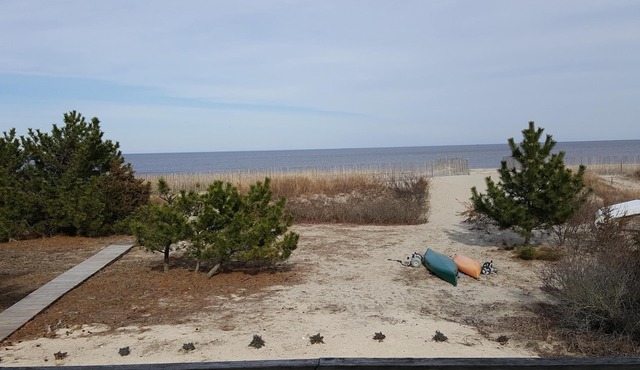 Waterfront Beach House! Secluded Retreat on the Bay.
