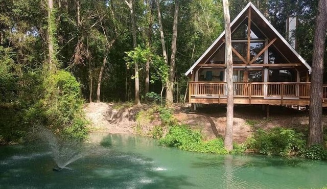 Waterfront Cabin Retreat with Private Dock and Pool in Plantersville Texas