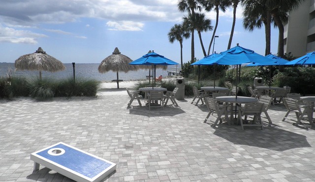 Waterfront Condo -Tampa/FL