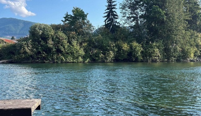 Waterfront cottage with a private dock, large yard and backyard bar/game room!