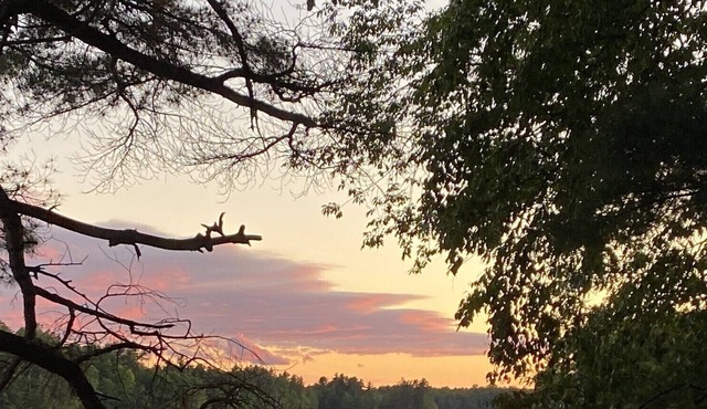 Waterfront Fully Renovated 4 Season Cottage