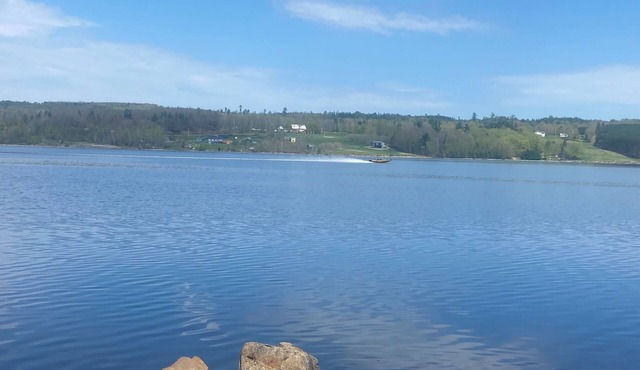 Waterfront on the Saint John River