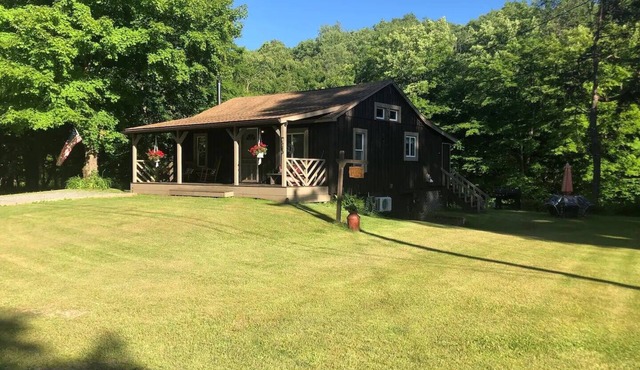 Waterfront property, perfect winter getaway, directly on the Willowemoc!