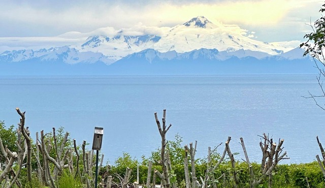 Waterfront retreat with stunning views of Iliamna Volcano: The View - Full House
