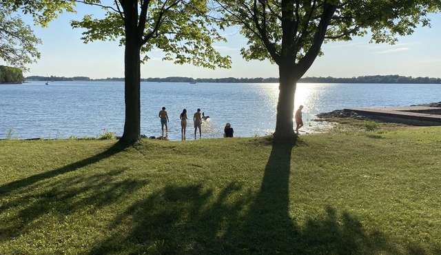 Waterfront, sunlit cozy cottage with large dock, fire pit and good swimming.