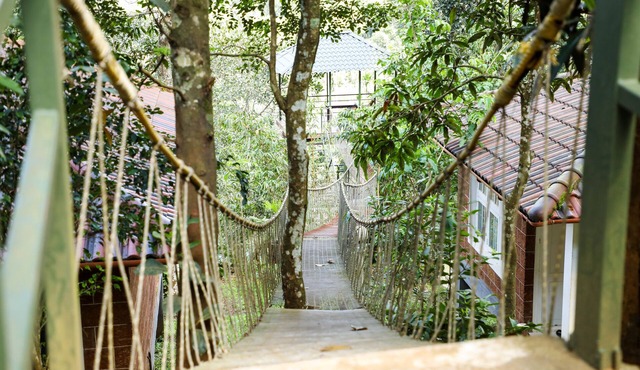 Wayanad Ranches Resorts