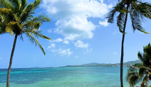WE SHELL SEA - 2 bed/2 bath beachfront condo- beach and pool.
