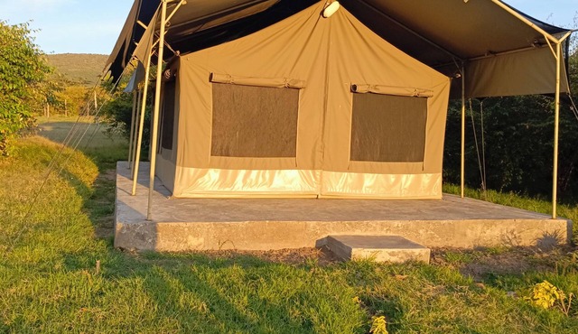 we we are located at maasaimara 1.5 km from the main entrance