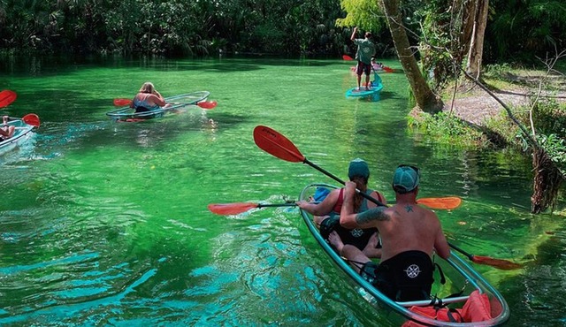 Weeki Wachee River Clear Kayak Tour