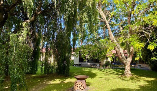 Weeping Willow