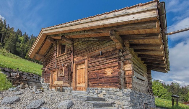 Weidhaus am Brienzerberg
