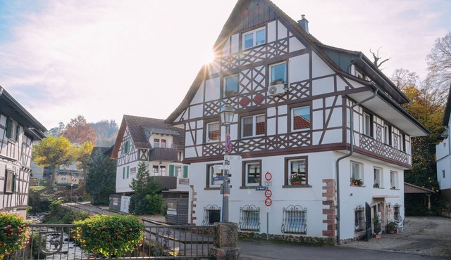 Weinbergblick - Sasbachwalden central, family-friendly with fireplace and kitchen
