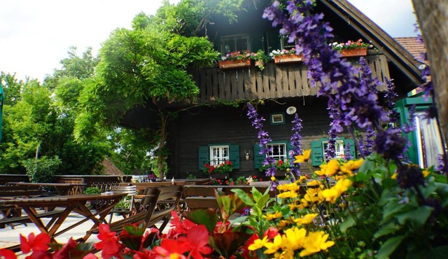 Weingut Buschenschank Schneiderannerl