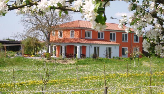 Weinhof am Nussbaum