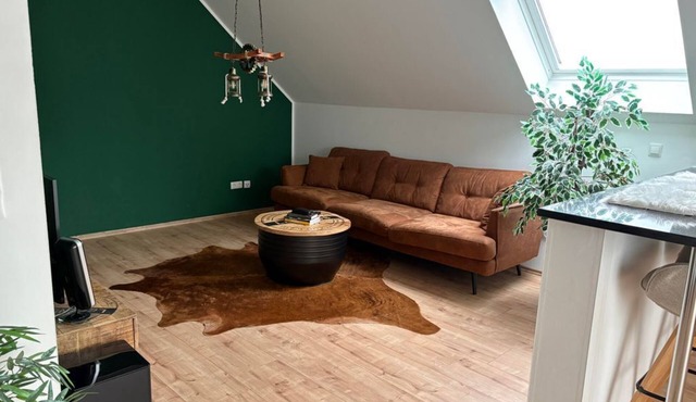 Weitblick Hunsrück - apartment/apartment, bathtub, 1 bedroom