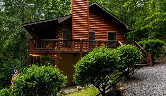 Welcome to Bearadise! Charming cabin 10 minutes to downtown Blue Ridge!