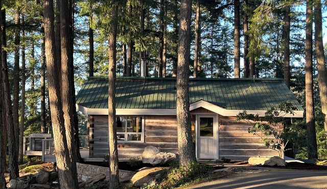 Welcome to Cloud 99! Cabin has privacy, quiet, awesome view! Recently updated.