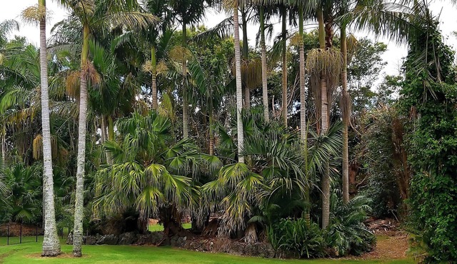 Welcome to Darwin Cottage, Kerikeri, close to town, pet friendly