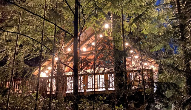 Welcome to Deer Creek Cabin at Lake Cushman!