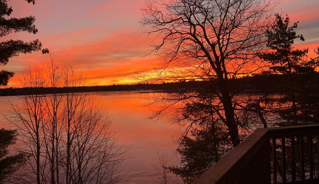 Welcome to Lakeside Haven on Webb Lake, surrounded by towering pines!