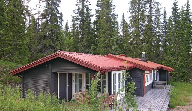 Welcome to Trysil and this cozy cottage.