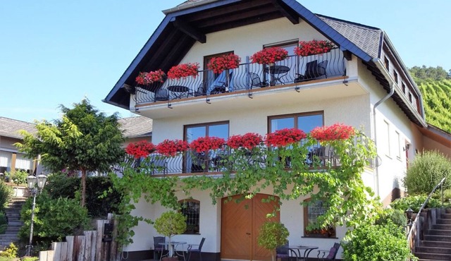 Well-kept vacation home in the middle of the vineyards. Apartment 1, short vacation on request