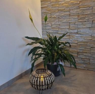 Wellness Ferienhaus
