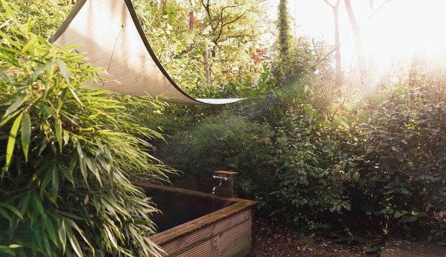 Wellness Hottub Tiny House located in the forest at the Veluwe, close to lake