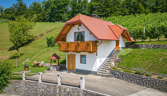 Wellness Vineyard Cottage Krivic, Trebelno, Slovenia