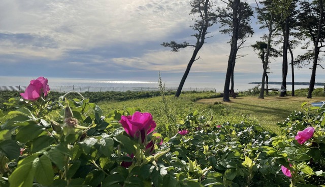 West Chop Sandy Beach, Water Front, 6 BR, Great Views!