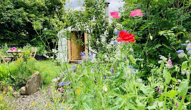 Wester Auchraw Croft B&B