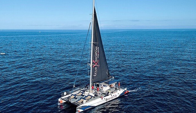 Whale watching and listening Eco-Catamaran Tour with Food Tasting