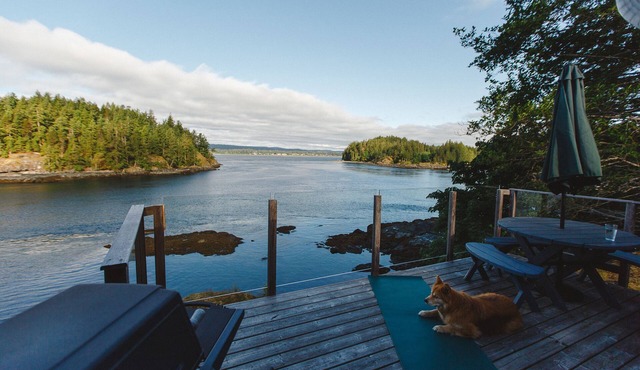Whales and eagles out your front door! Stunning ocean views, private and quie
