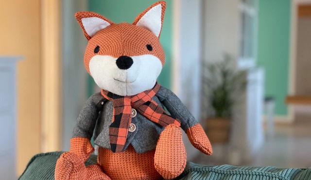 . where fox and hare are happy?