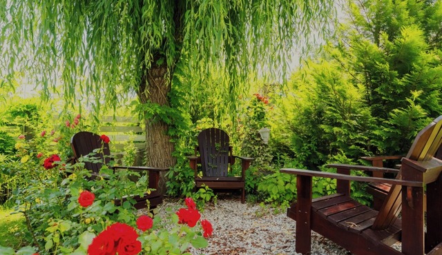 Where time flows differently. Panoramic views, nature blending, home made meals