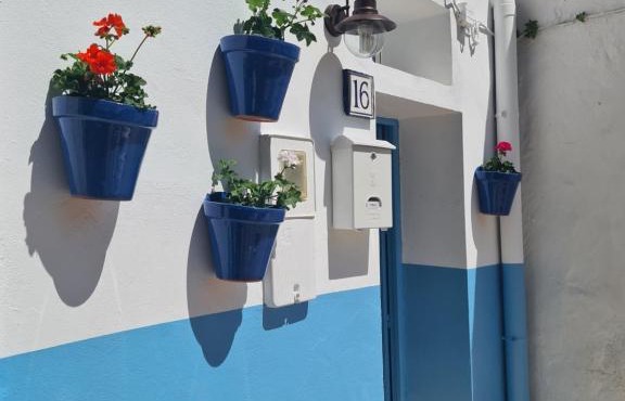 White Fish Mojacar