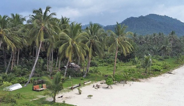 Whole Resort