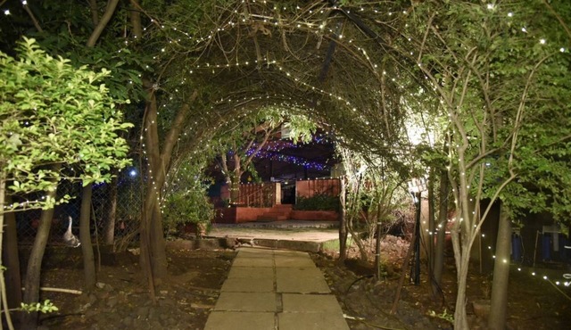 Wild Camp Resort