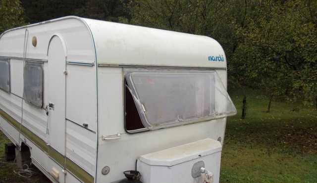 WILD Camping Site in an Italian Orchard