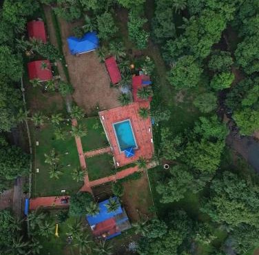 wild paradise jungle homestay