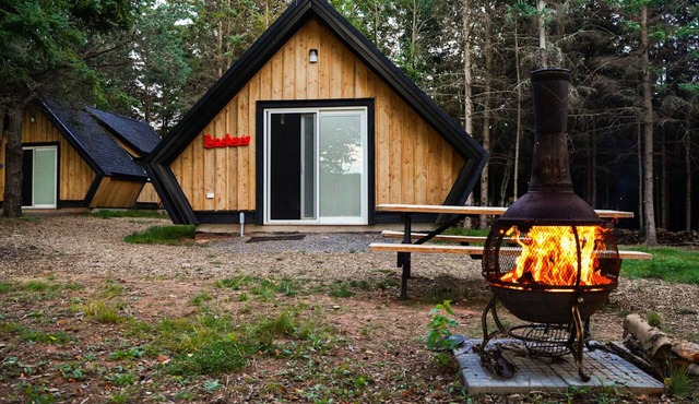 Wild Pines Cabins