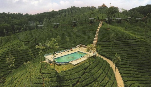 Wild Planet Resort