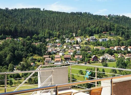 WiLDBADFERiEN DE