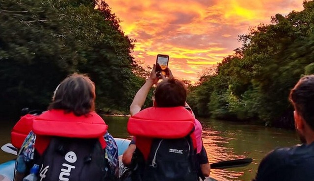 Wildlife Safari Boat, perfect for birdwatching and wildlife.