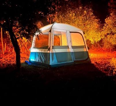 Wildtentadventure