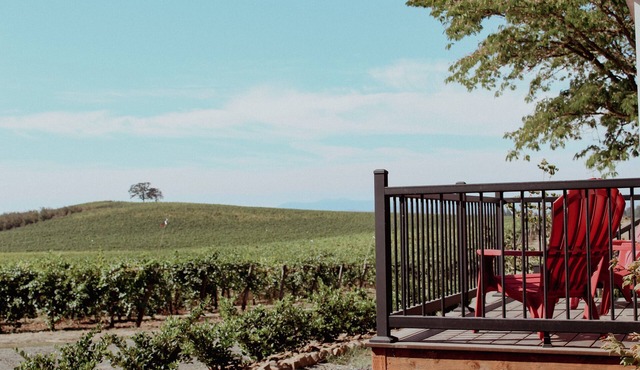 Willamette Valley Wine Country Retreat
