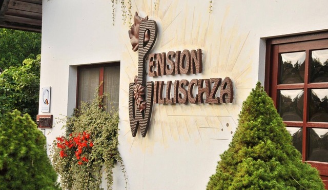 Willischza
