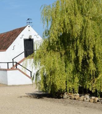 Willow Tree Farm