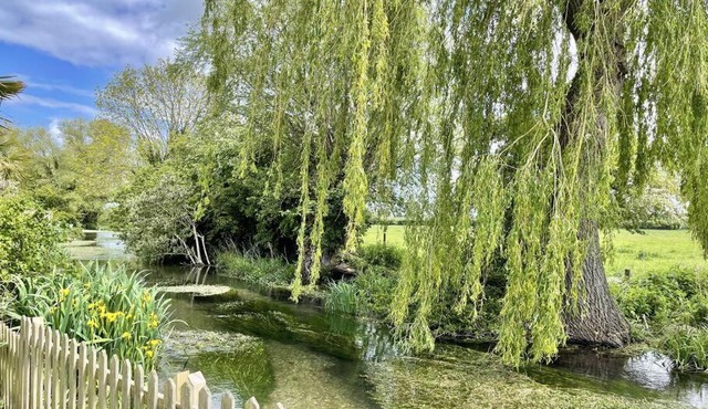 Willow Tree Lodge - Cosy lodge in the heart of the Kent countryside