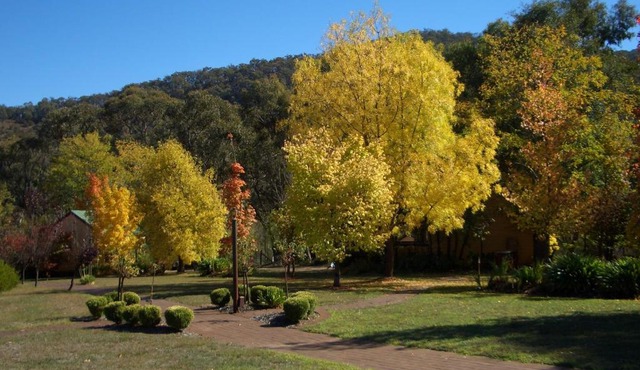 Willowlake Cottages